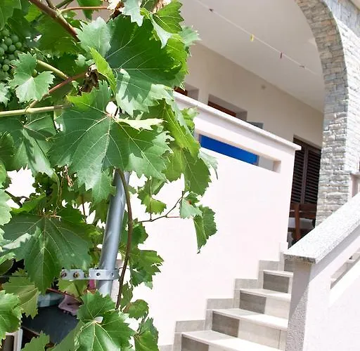 Apartament Kabashi *